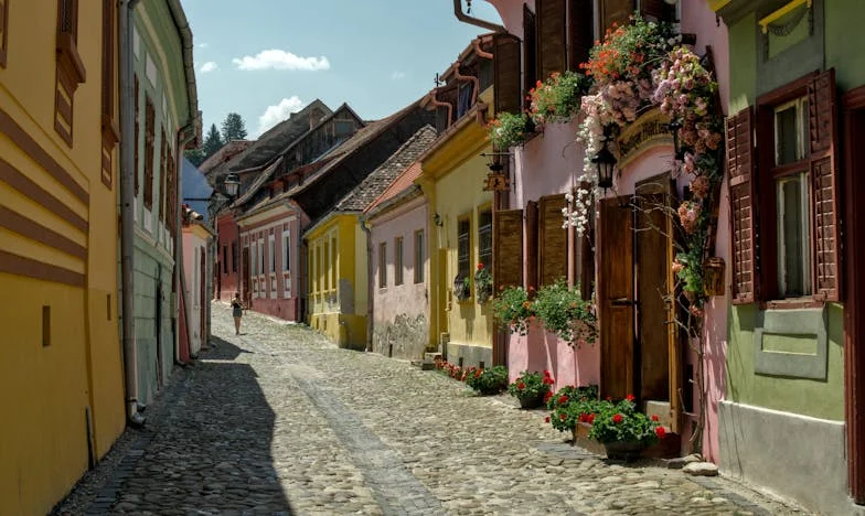 "Majka Razbaštinila Ćerku, Sve Ostavila Usvojenom Sinu"